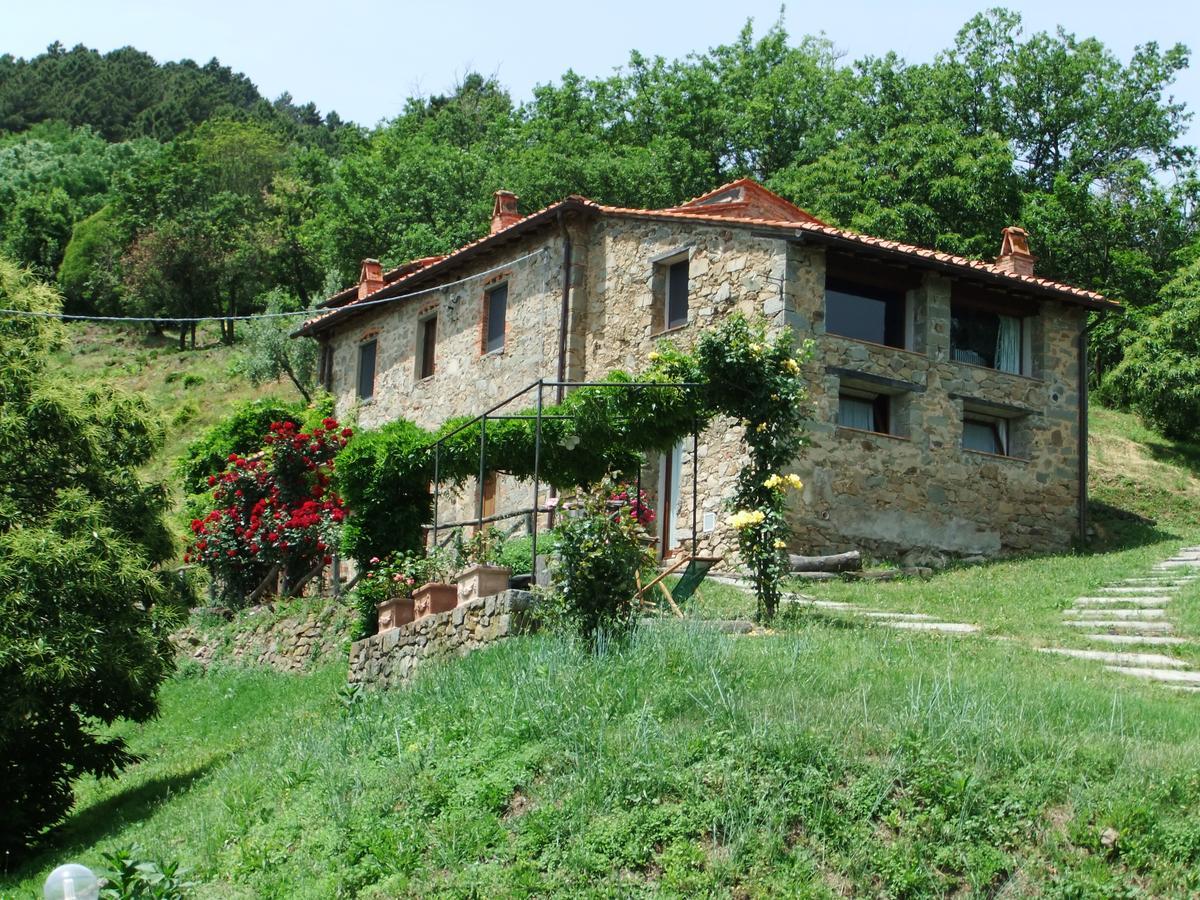Апартаменты Fattoria Di Pietrabuona Пеша Экстерьер фото