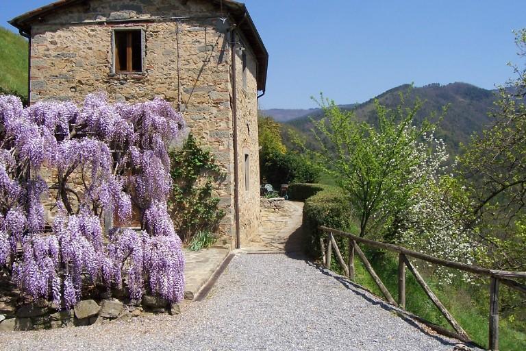 Апартаменты Fattoria Di Pietrabuona Пеша Экстерьер фото