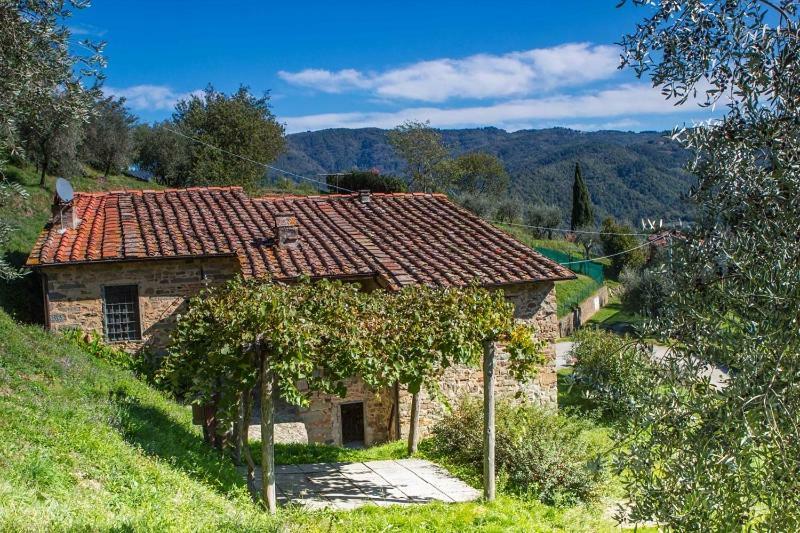 Апартаменты Fattoria Di Pietrabuona Пеша Экстерьер фото